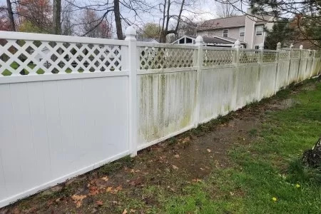 Vinyl Fence Cleaning